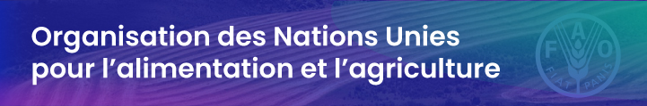 La lettre internationale de la Haute Autorité – Novembre 2020