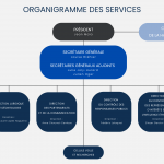 Organigramme-des-services-HATVP
